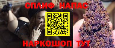 индика Ставрополь