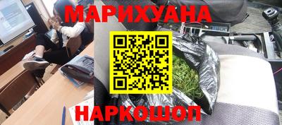 индика Ставрополь