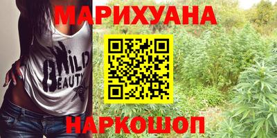 индика Ставрополь