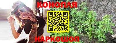 индика Ставрополь
