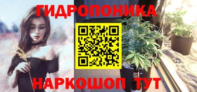 индика Ставрополь